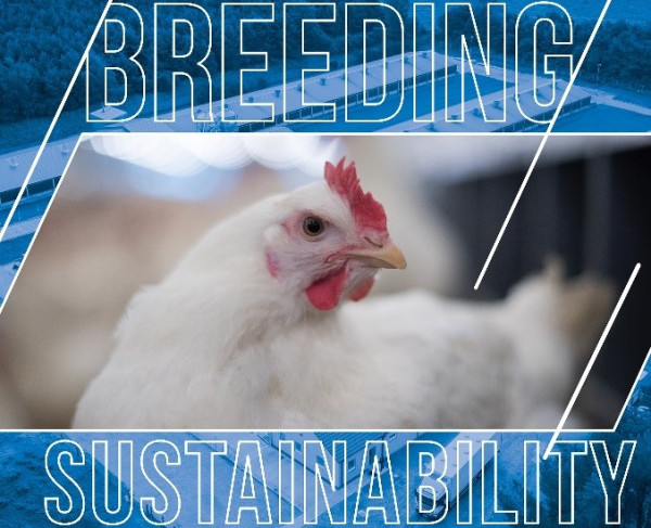 Breeding Sustainability graphic